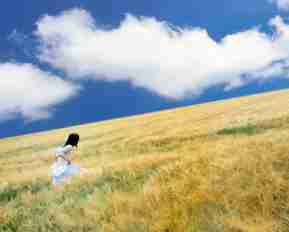 seo策‍略‌与﻿营​销​方﻿案​